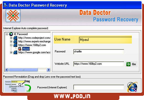 Internet Explorer Password Recovery