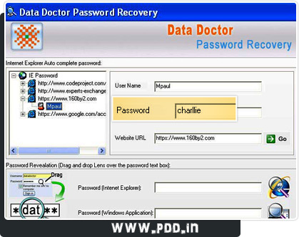 Internet Explorer Password